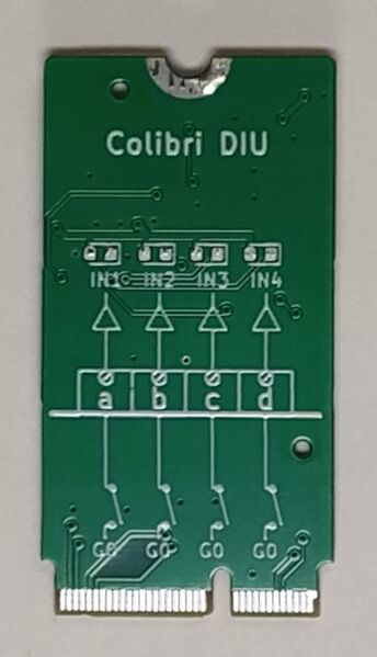 File:Colibri diu-1.jpg