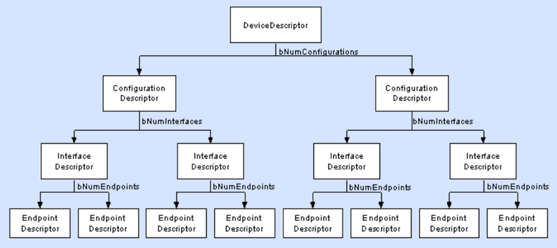 File:USB Descriptor Hierarchy.png